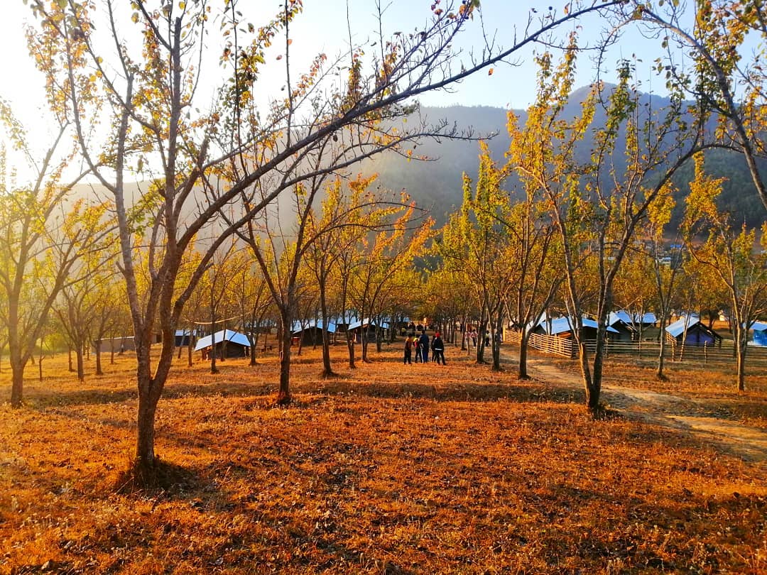 Kathmandu to Chitlang Camping 1 Night 2 Days