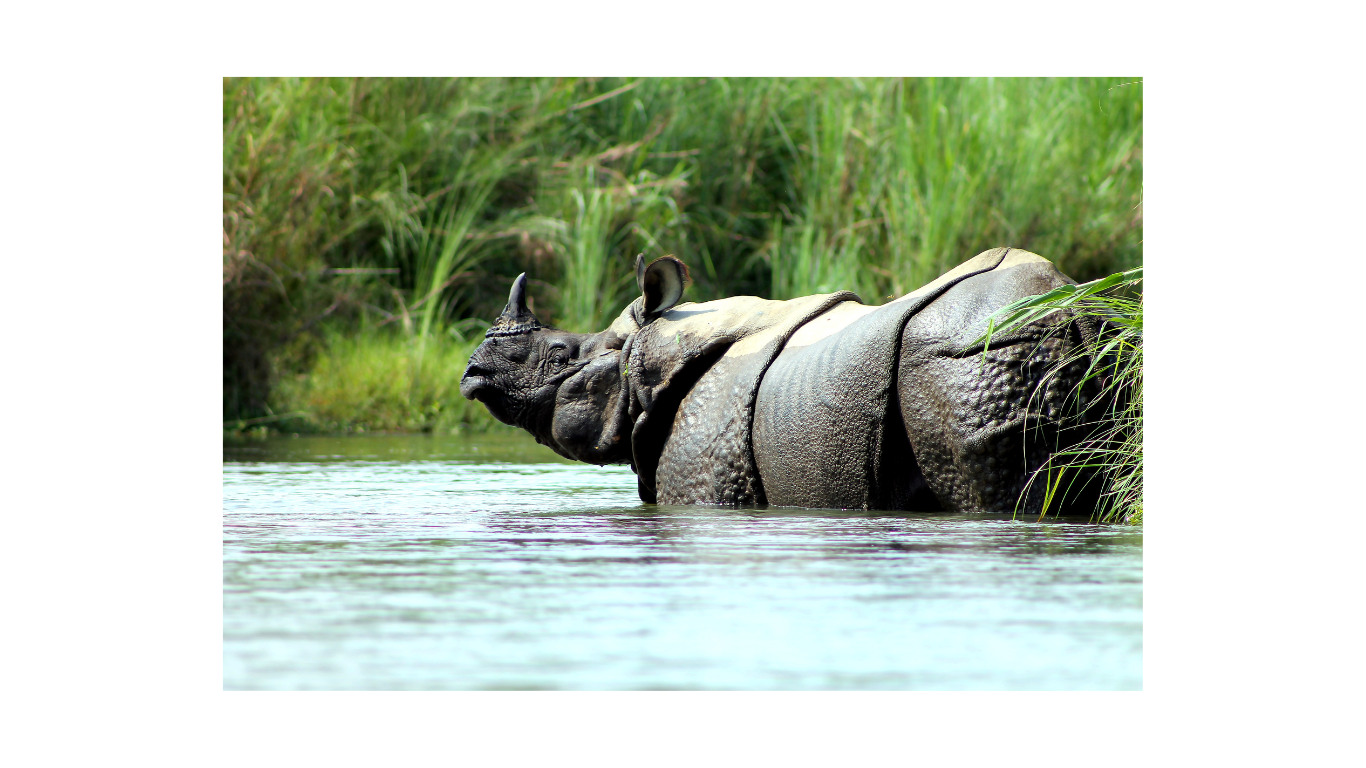 Kathmandu Chitwan Tours 5 Night 6 Days