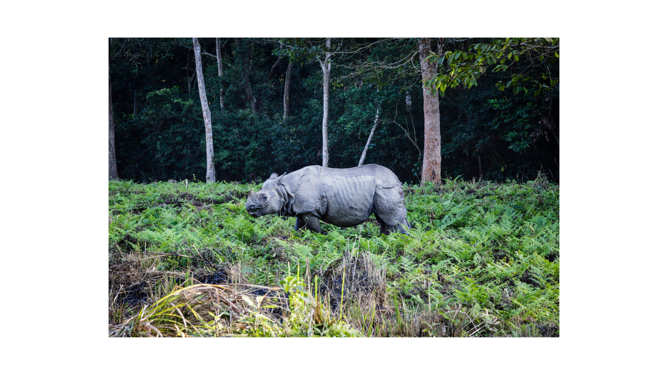 Kathmandu Chitwan Tours 5 Night 6 Days