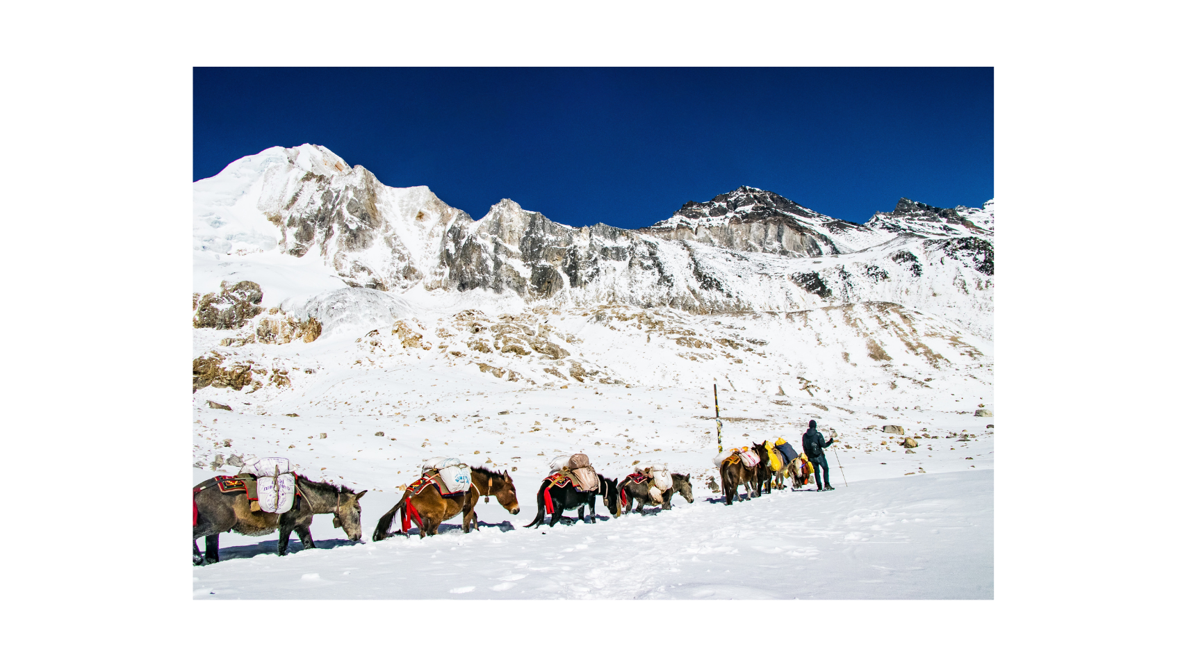 Manaslu Circuit Trek 15 day