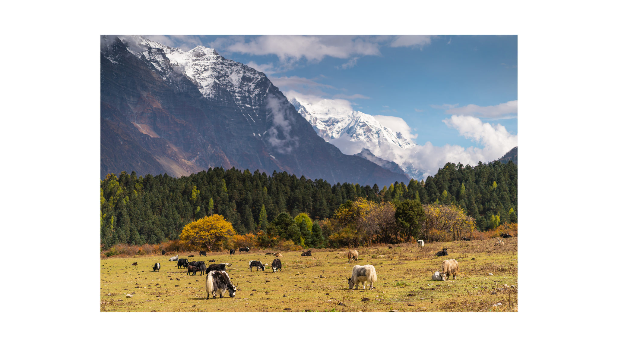 Manaslu Circuit Trek 15 day
