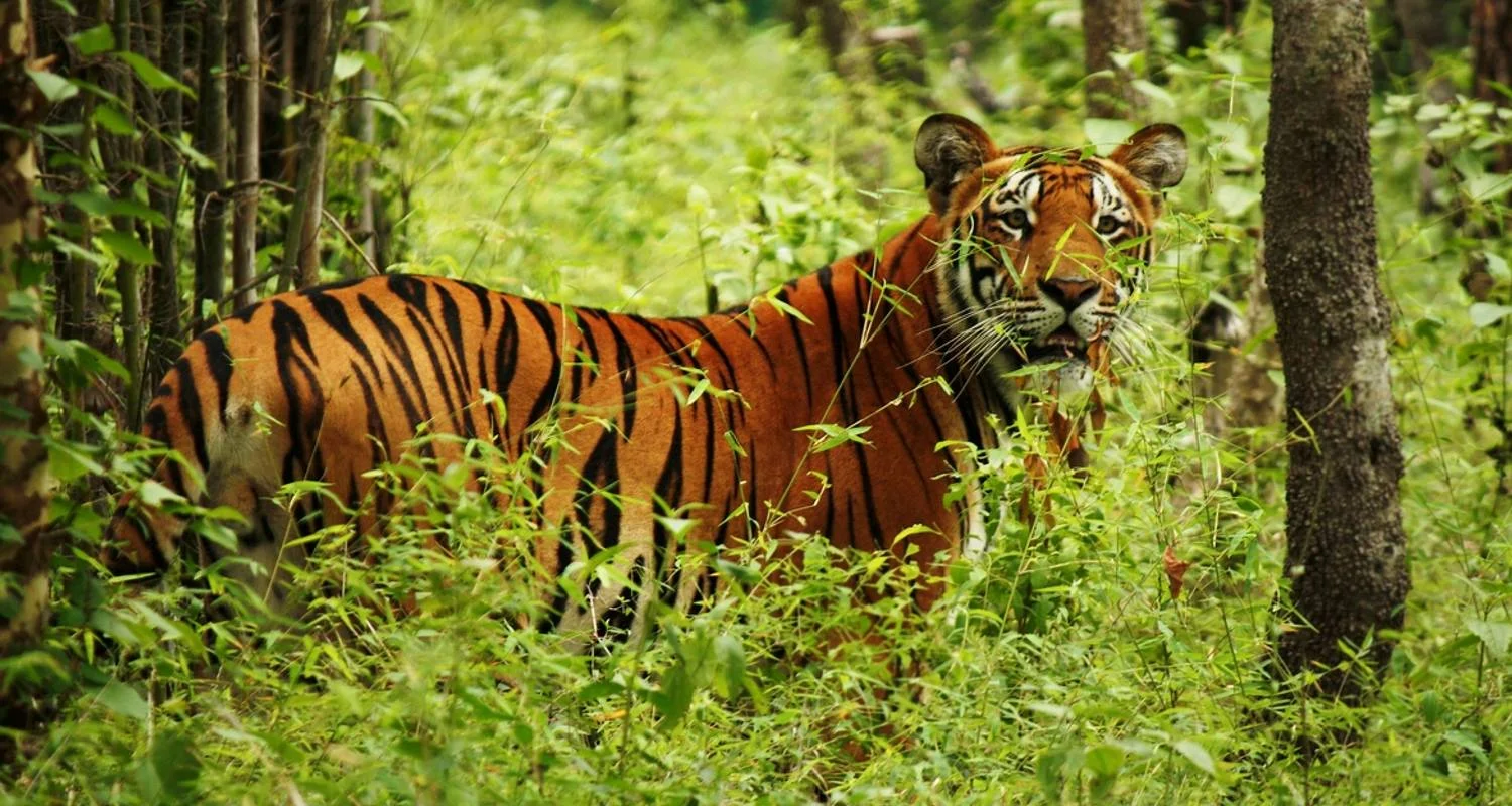 Kathmandu to Chitwan Tour 2 night 3 Days