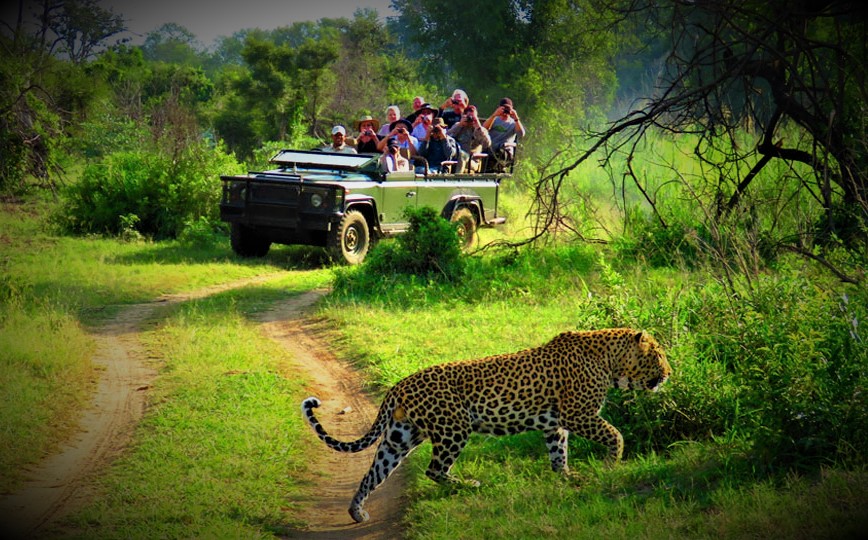 Kathmandu to Chitwan Tour 2 night 3 Days