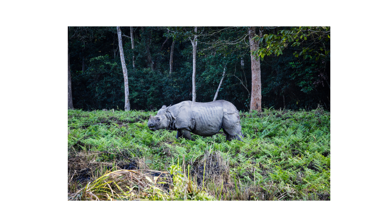 Kathmandu Janakpur Chitwan Pokhara 7 Night 8 Days