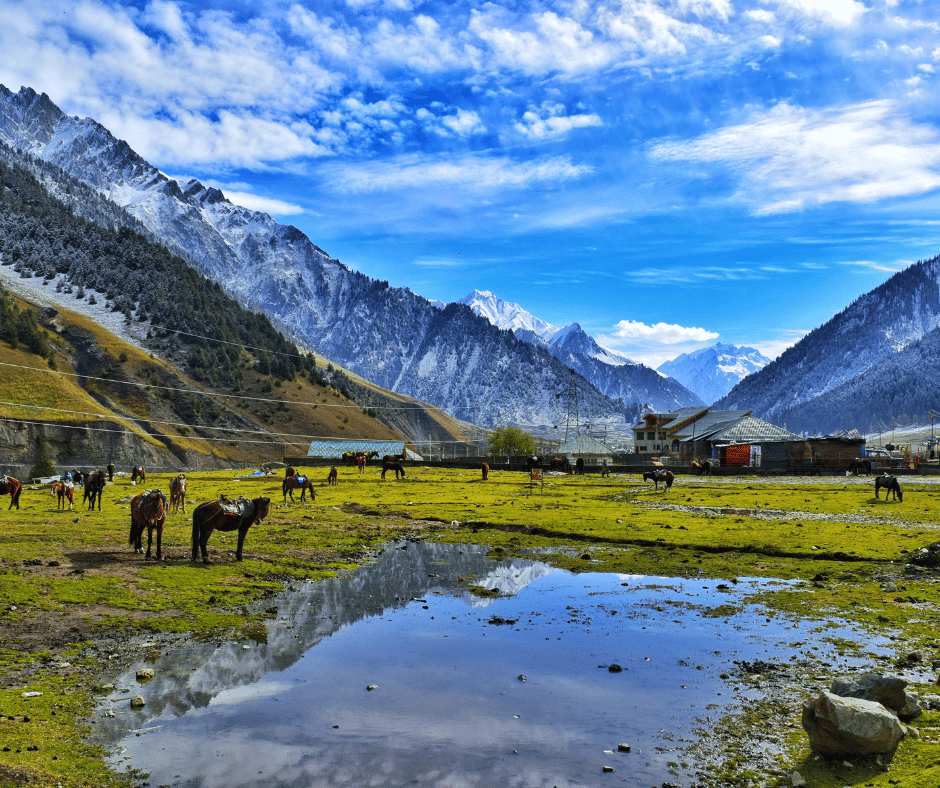Tsum Valley with Manaslu Circuit Trek 21 Days