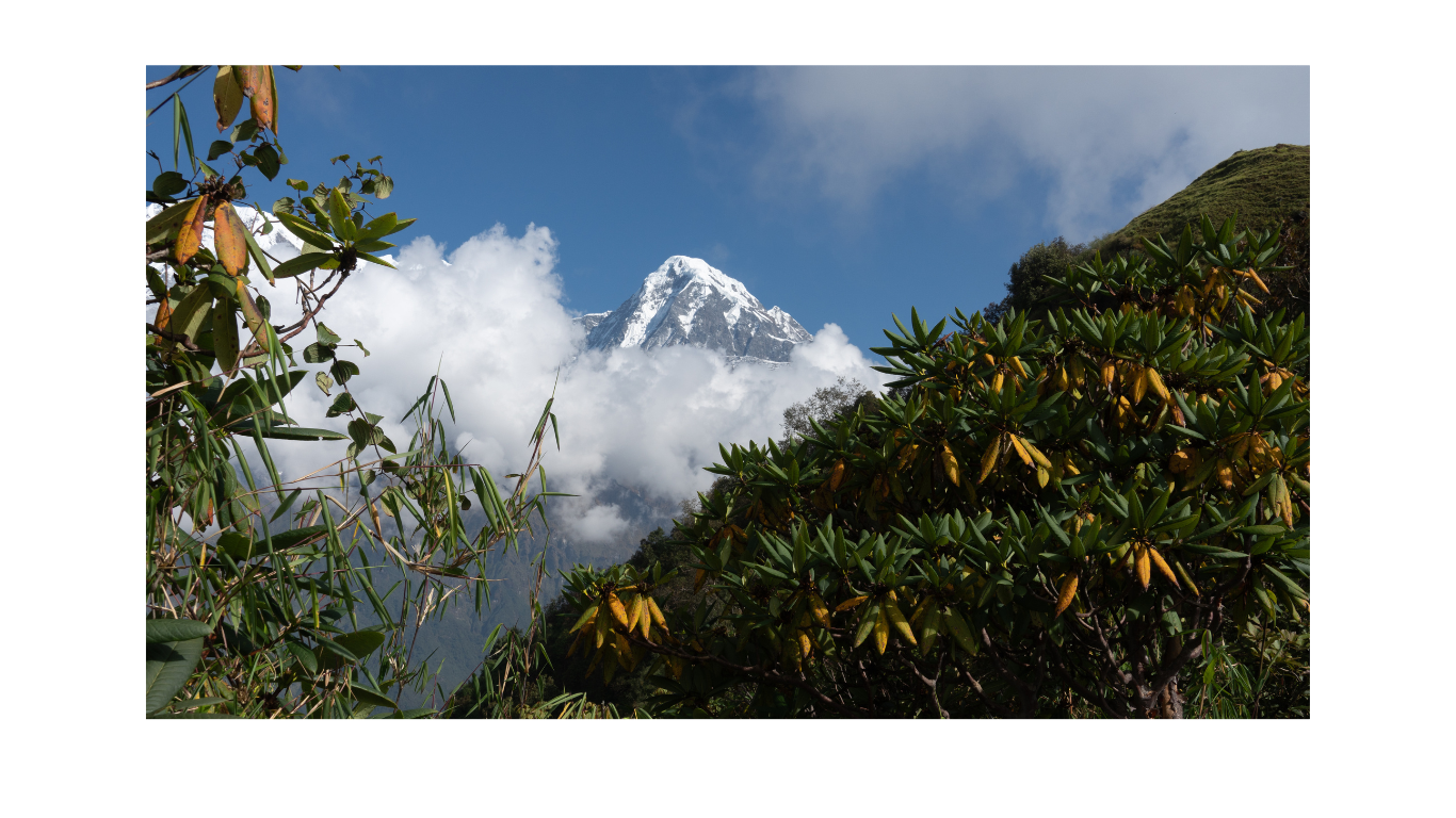 Mardi Himal Trek 10 Days