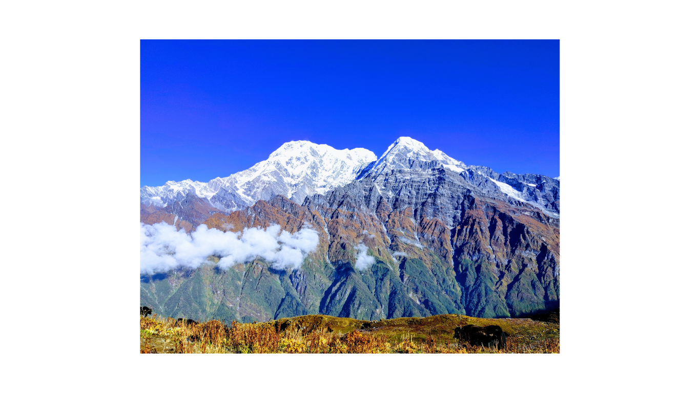 Mardi Himal Trek 10 Days