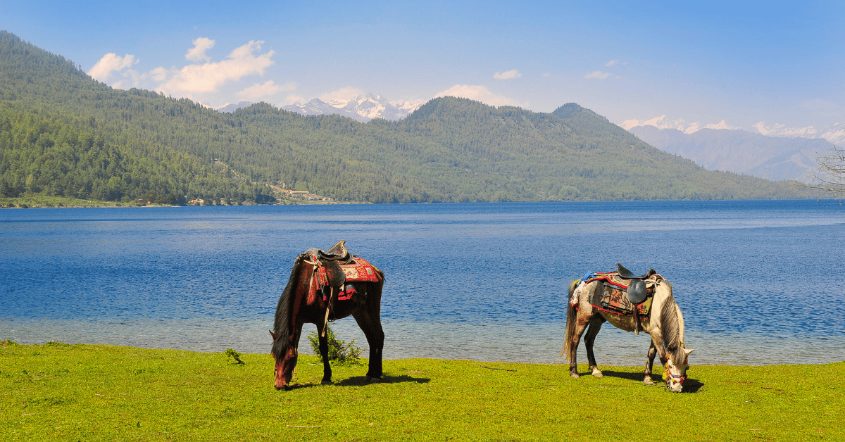Rara Lake Trek 16 Days