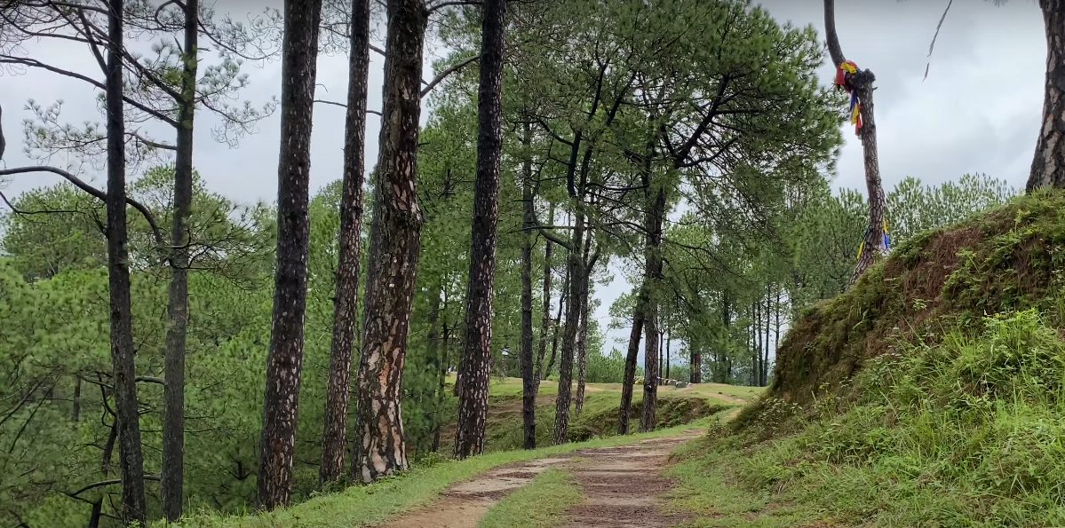Nagarkot trek